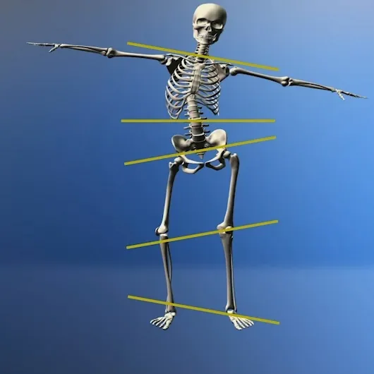 Skeleton diagram showing how Aline Insoles align the feet, knees and hips